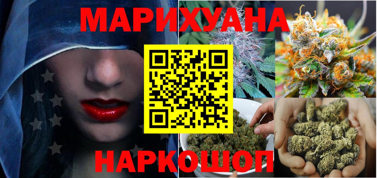 Бошки марихуана конопля Прохладный
